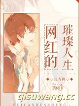 《网红的璀璨人生》全本TXT下载-作者：沈青鲤