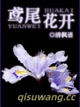 鸢尾花开图片