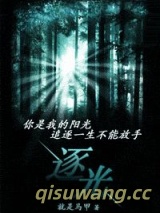 逐光图片