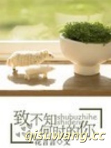 致不知何时的你图片