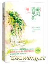 最美遇见你（出书版）图片