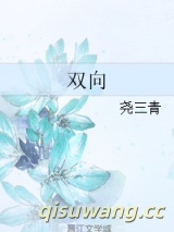 《双向》全本TXT下载-作者：尧三青