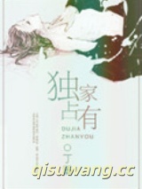 《独家占有》全本TXT下载-作者：丁墨