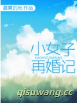 小女子再婚记图片