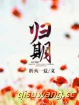 归期（离婚后的故事）图片