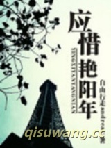 应惜艳阳年（出书版）图片