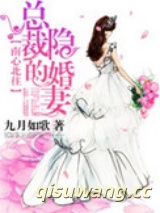 南心北往，总裁的隐婚妻图片