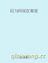 《因为风就在那里》全本TXT下载-作者：玖月晞