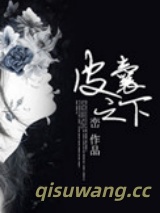 《皮囊之下》全本TXT下载-作者：峦