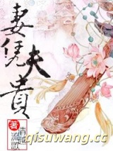 《妻凭夫贵》全本TXT下载-作者：清越流歌