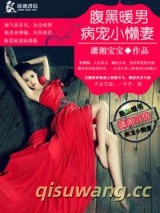 《腹黑暖男病爱小懒妻》全本TXT下载-作者：潇湘宝宝