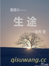 《生途》全本TXT下载-作者：金丙
