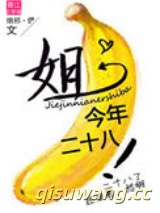 《姐今年二十八！》全本TXT下载-作者：琅俨