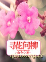 何寻，何寻图片