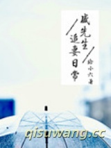 盛先生追妻日常图片