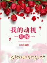 《我的动机是你》全本TXT下载-作者：苏钱钱