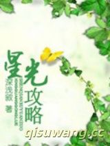 星光攻略图片