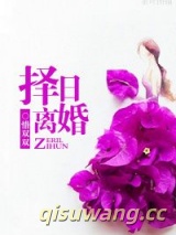 《择日离婚》全本TXT下载-作者：惜双双
