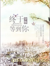 《终于等到你（甜文）》全本TXT下载-作者：岁惟