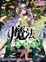 魔法高材生图片