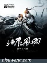 北辰风雨图片