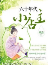 《六十年代小店主》全本TXT下载-作者：湖涂