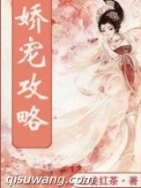娇宠攻略图片