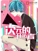次元的开拓者图片