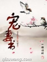 宠妻书图片