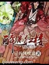 醉迷红楼图片
