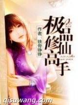 《极品修仙高手(书坊)》全本TXT下载-作者：铁骨铮铮