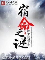 宿命之谜图片