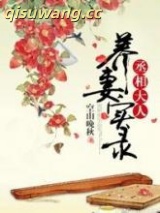 丞相大人养妻实录图片