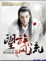 《望族风流》全本TXT下载-作者：梦回故都
