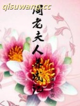 《阁老夫人养成记》全本TXT下载-作者：漫步长安