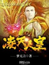 《凌天人皇》全本TXT下载-作者：梦无言