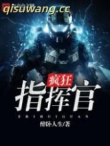 疯狂指挥官图片