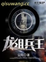 《龙组兵王》全本TXT下载-作者：尘风