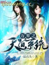 《万界之天道系统》全本TXT下载-作者：一品石头