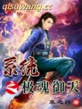 系统之极魂御天图片
