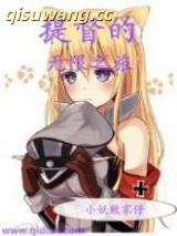 提督的无限之旅图片