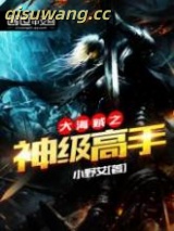 大海贼之神级高手图片
