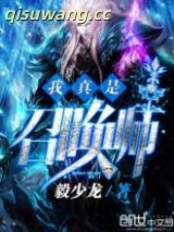 我真是召唤师图片