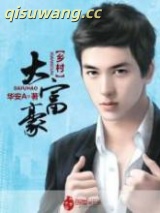 《乡村大富豪》全本TXT下载-作者：华安A