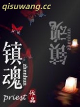 《镇魂》全本TXT下载-作者：priest