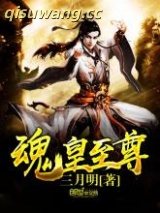 魂皇至尊图片