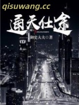 《通天仕途》全本TXT下载-作者：御史大夫