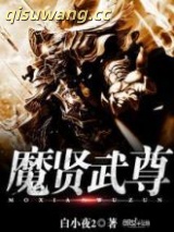 魔贤武尊图片