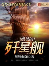 奶爸的歼星舰图片