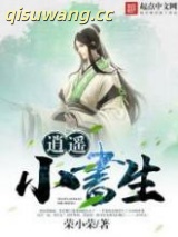 《逍遥小书生》全本TXT下载-作者：荣小荣